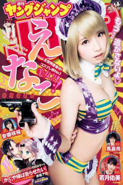 珠帘玉幕电视剧免费观看